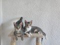 Mira und Ofra (1)